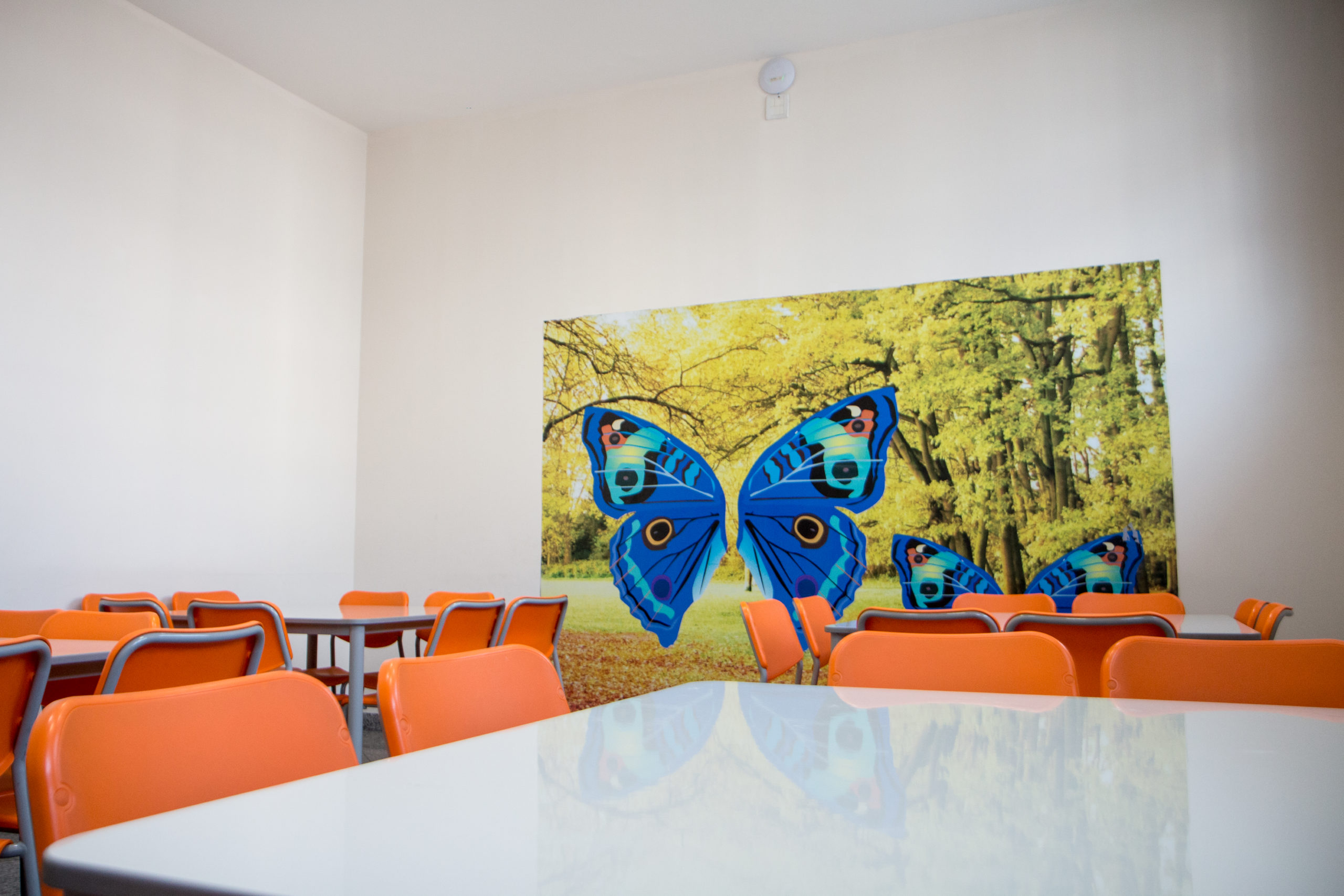 Sala Google
